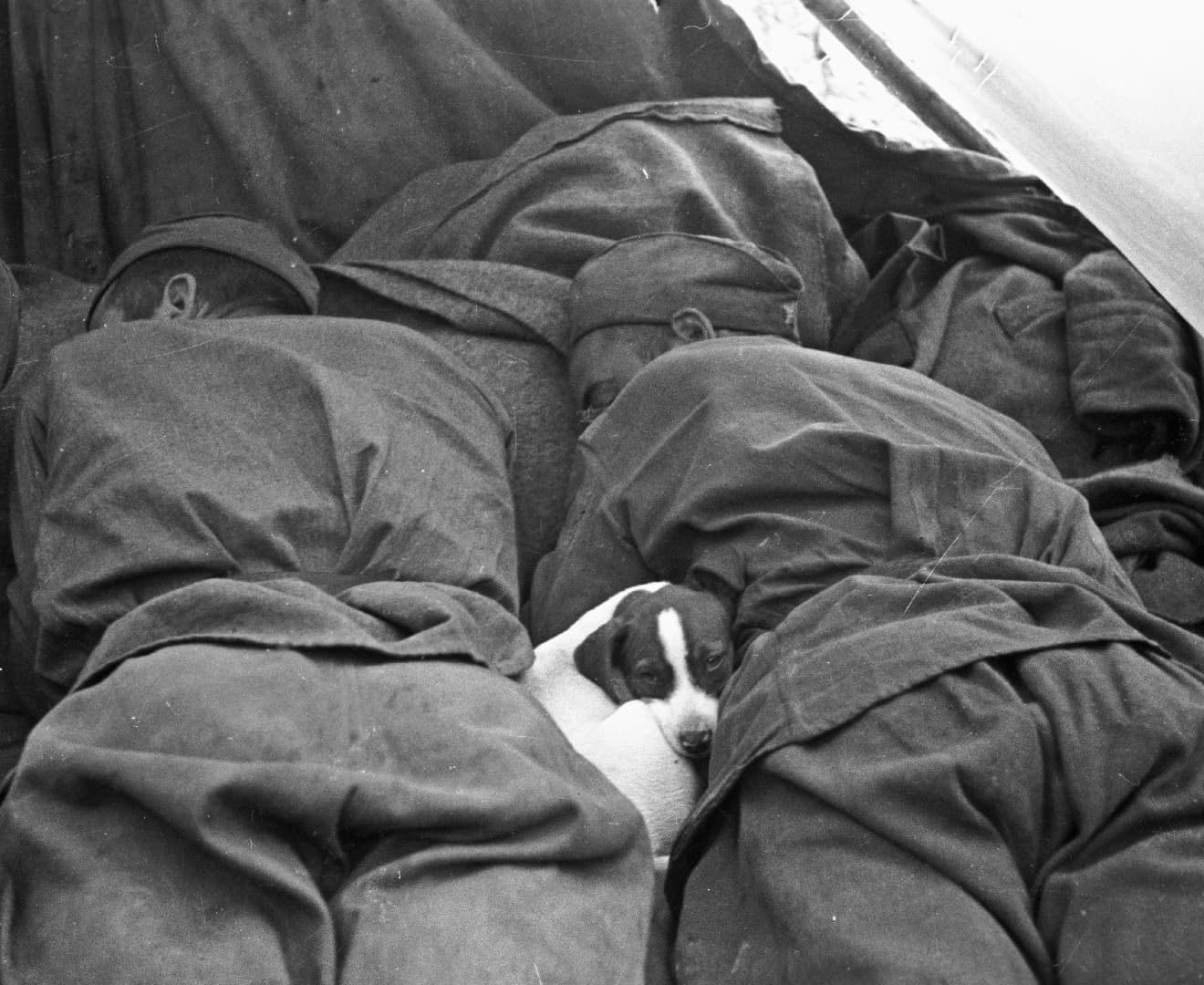Солдаты спят после боя